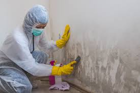 Best Forensic Mold Investigation  in Barron, WI